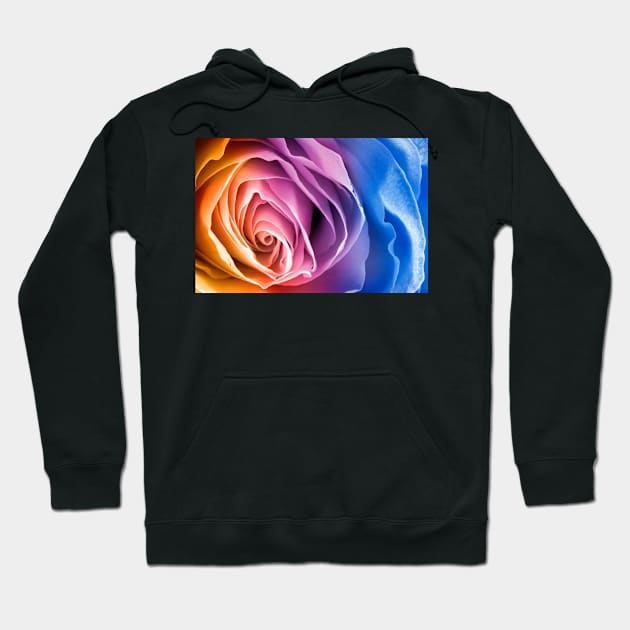 Rainbow Rose Macro Hoodie by somadjinn